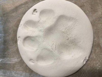 Clay Paw Print